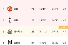 热刺VS西汉姆：中场核心帕利尼亚与帕奎塔的控球与防守对决